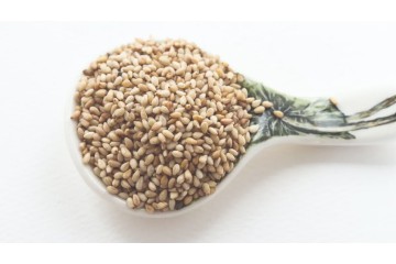 在貝果上添加芝麻前的噴塗應用-霧化噴嘴Adding Sesame Seeds to Bagels 在貝果上添加芝麻前的噴塗應用-霧化噴嘴Adding Sesame Seeds to Bagels